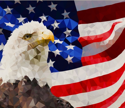 American Eagle and Flag handyhüllen