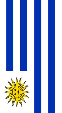 Flagge von Uruguay handyhüllen