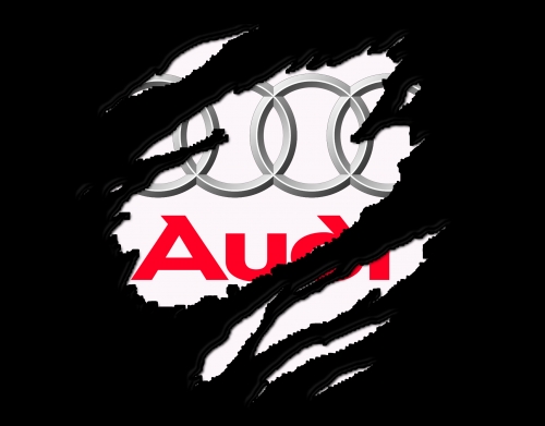Fan Driver Audi GriffeSport handyhüllen