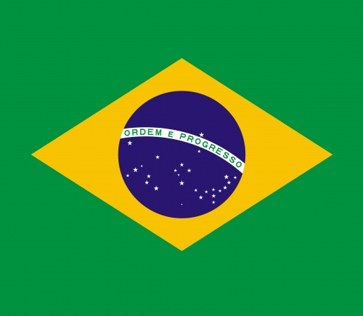 Fahne Brasilien handyhüllen