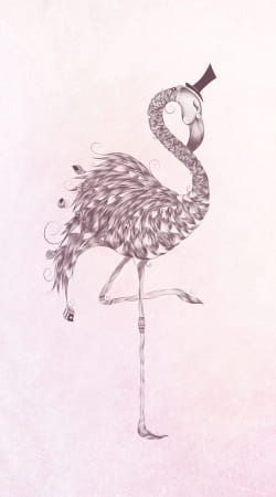 Flamingo hülle