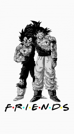 Goku X Vegeta as Friends hülle