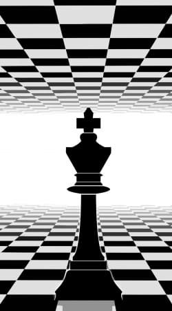 King Chess handyhüllen