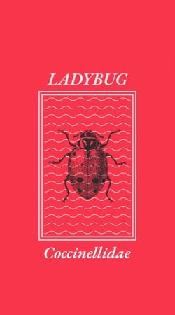 Ladybug Coccinellidae handyhüllen