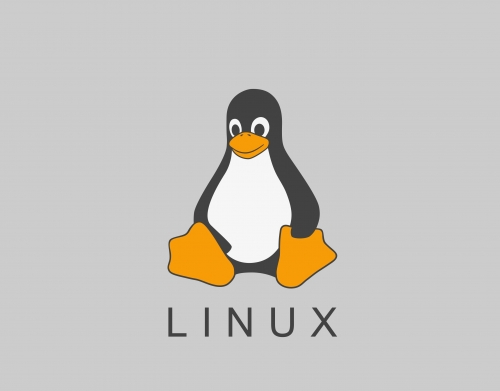 Linux Hosting handyhüllen