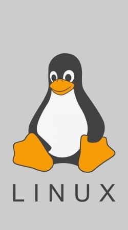 Linux Hosting hülle