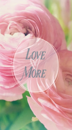 Love More hülle
