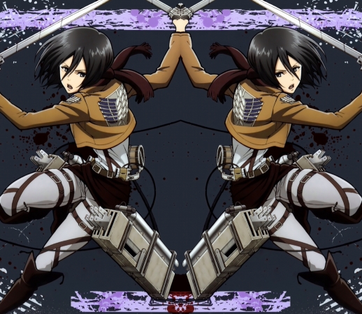 Mikasa Titan handyhüllen