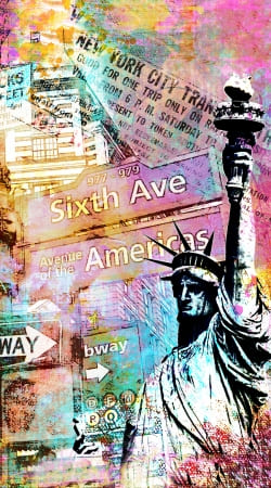 New York Liberty handyhüllen