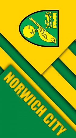 Norwich City handyhüllen