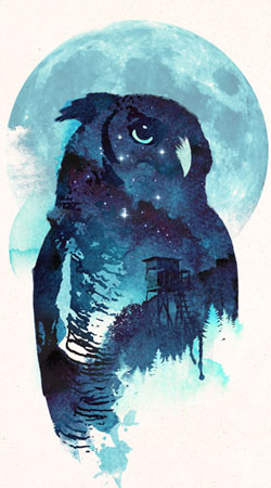 Night Owl handyhüllen