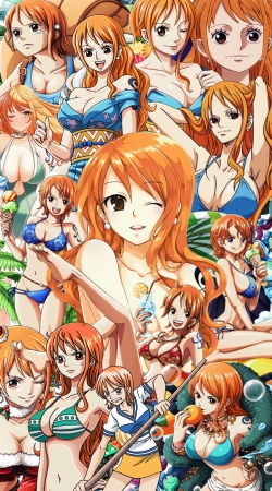 One Piece Nami hülle