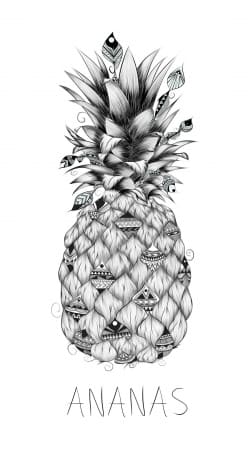 PineApplle hülle