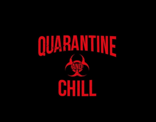 Quarantine And Chill handyhüllen