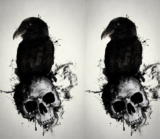 Raven and Skull handyhüllen