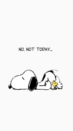 Snoopy No Not Today handyhüllen