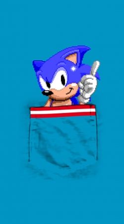 Sonic in the pocket handyhüllen