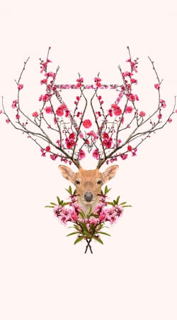 Spring Deer handyhüllen