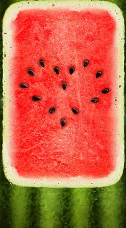 Summer Love Wassermelone handyhüllen