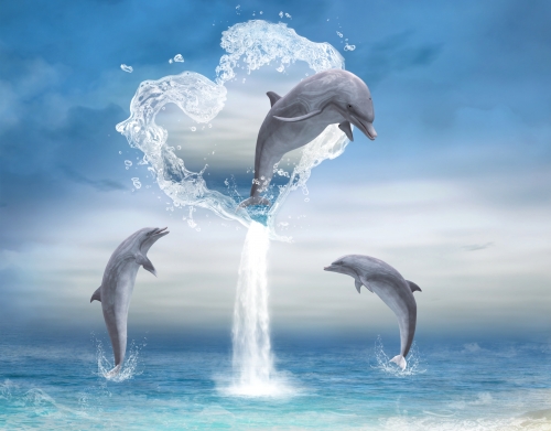 The Heart Of The Dolphins handyhüllen