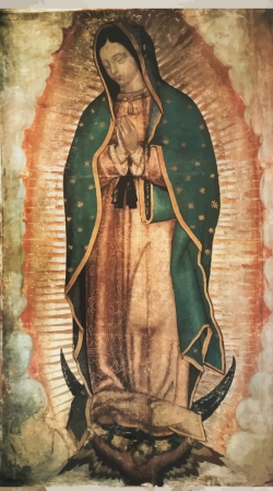 Virgen Guadalupe handyhüllen