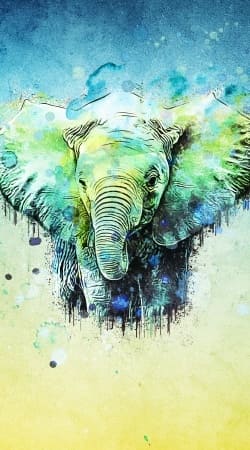 watercolor elephant hülle