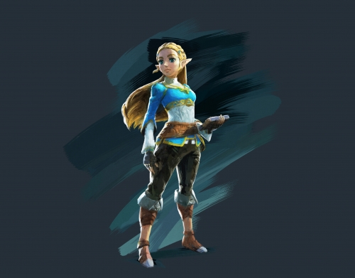 Zelda Princess handyhüllen