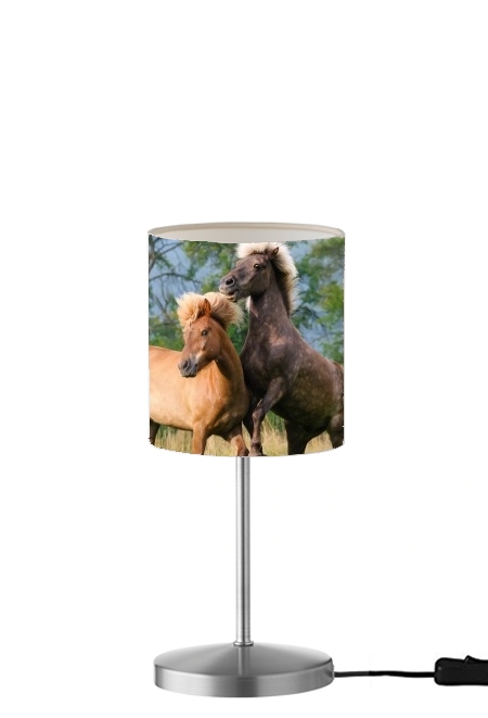 Zwei Isländer Pferde spielen, steigen und toben auf einer Wiese für Tisch- / Nachttischlampe