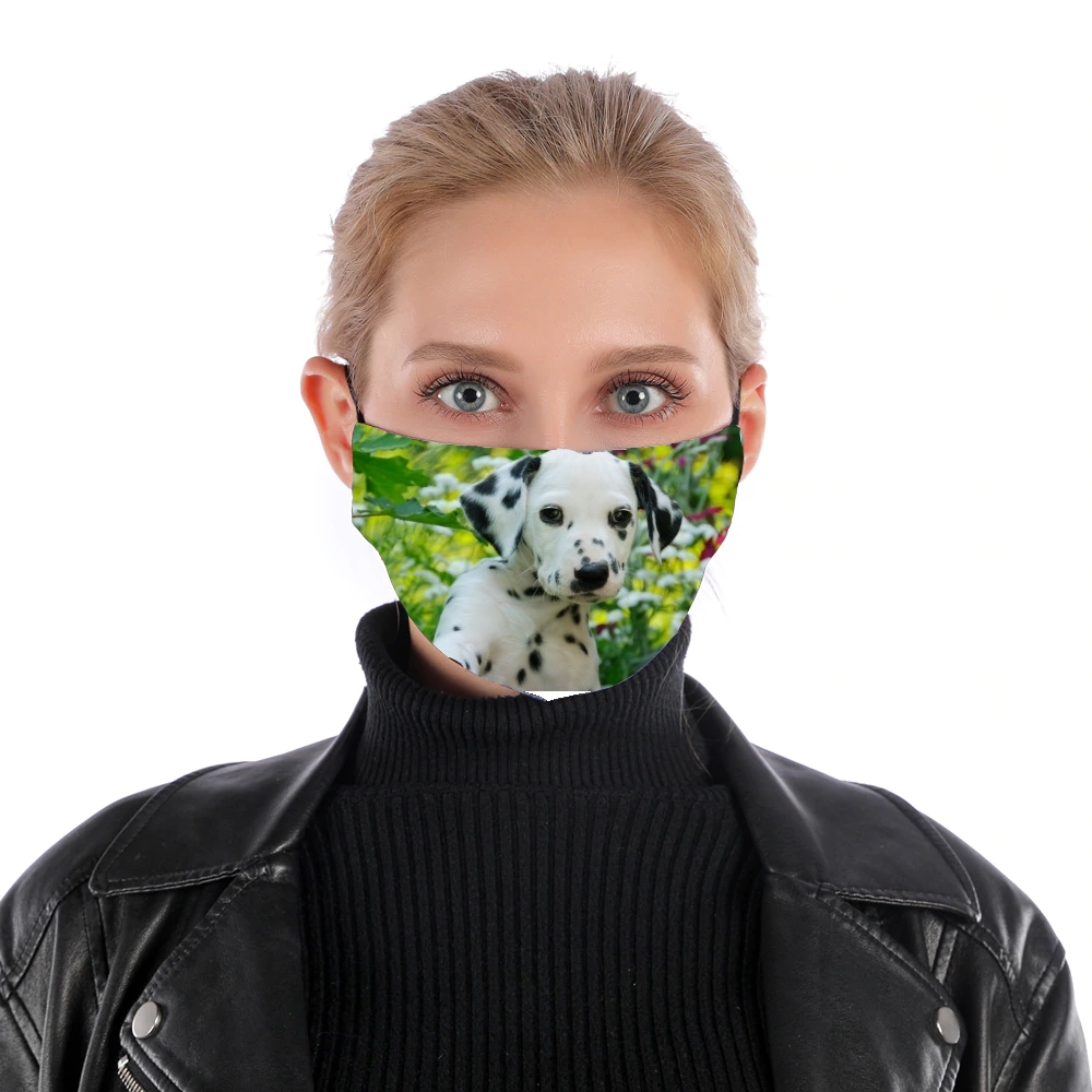 Dalmatiner Welpe in einem Korb  für Nase Mund Maske