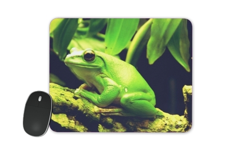 Grüner Frosch für Mousepad