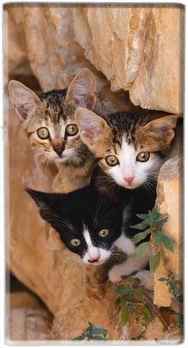 Drei kleine süssen Katzen in einem Mauerloch für Tragbare externe Backup-Batterie 1000mAh Micro-USB