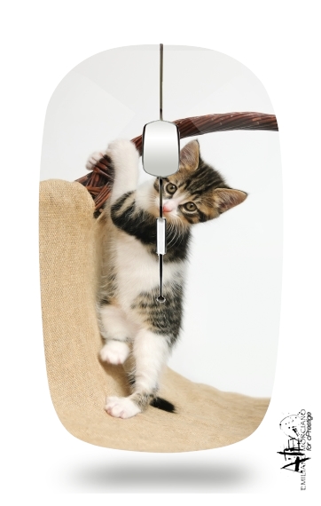 Baby Katze, niedliches Kätzchen klettert für Kabellose optische Maus mit USB-Empfänger