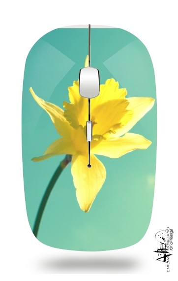 Daffodil für Kabellose optische Maus mit USB-Empfänger