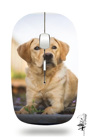 Labrador Dog für Kabellose optische Maus mit USB-Empfänger