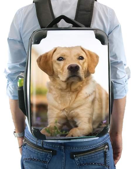 Labrador Dog für Rucksack