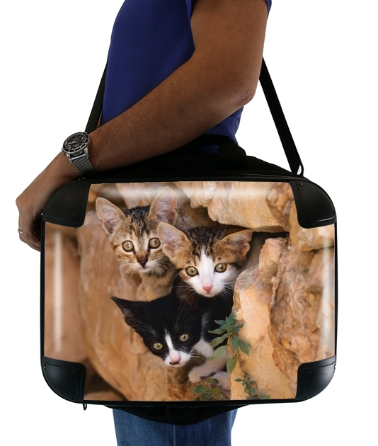 Drei kleine süssen Katzen in einem Mauerloch für Computertasche / Notebook / Tablet