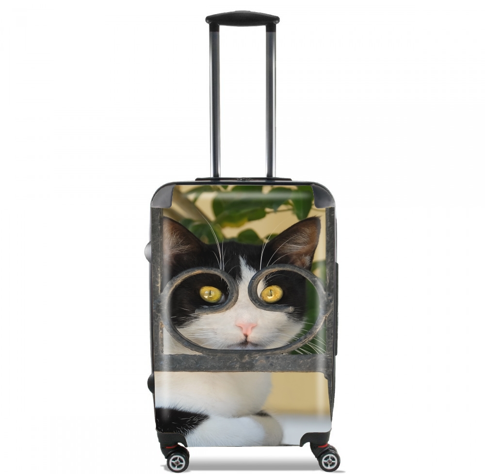 Katze mit Brille, sie schaut durch einen schmiedeeisernen Zaun  für Kabinengröße Koffer