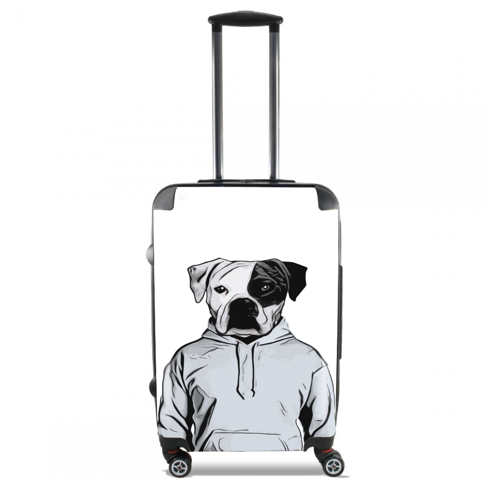 Cool Dog für Kabinengröße Koffer