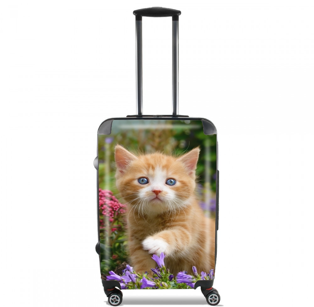 Niedliches Katzenkind, rot tabby Katze im blühenden Garten  für Kabinengröße Koffer