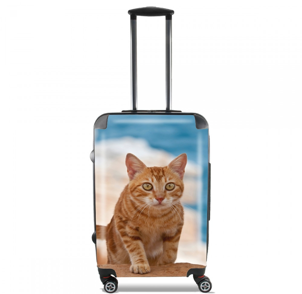 Rotgetigerte Katze auf einer Klippe für Kabinengröße Koffer