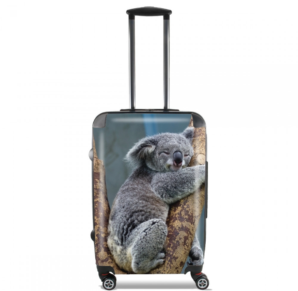 Koala Bear Australia für Kabinengröße Koffer