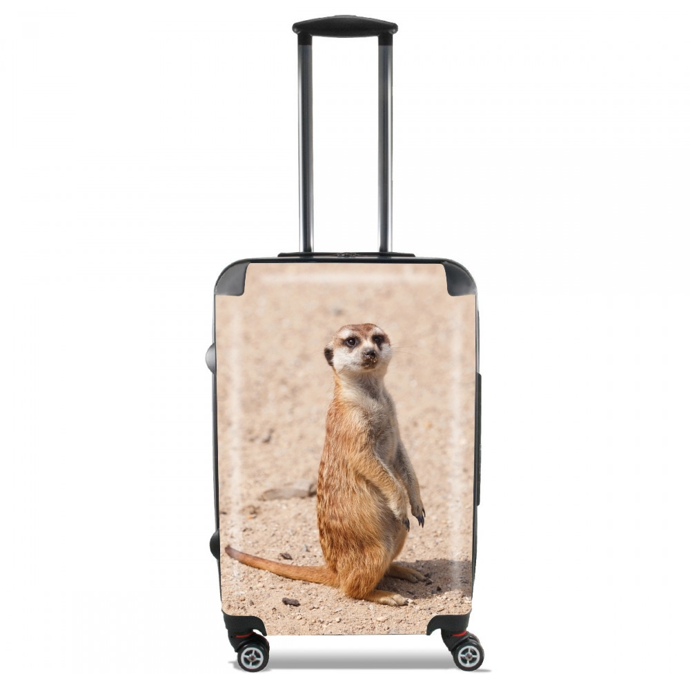 Meerkat für Kabinengröße Koffer