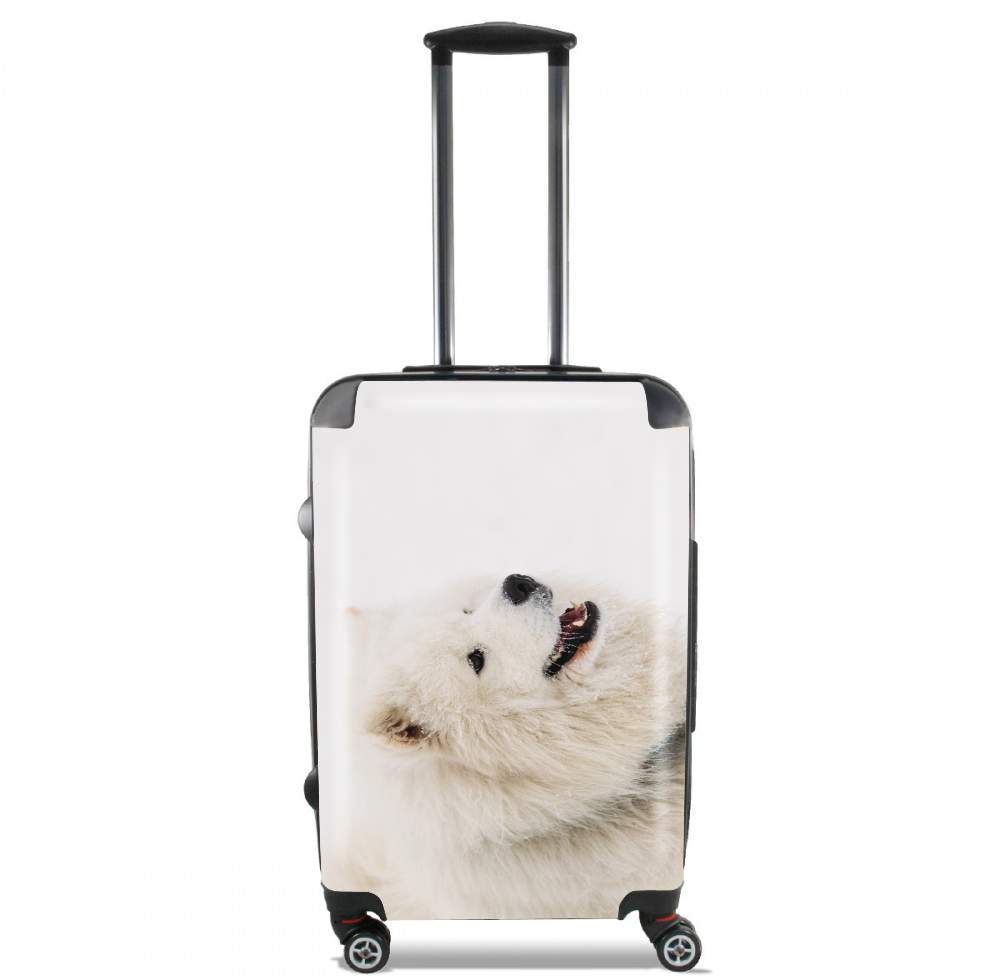 samoyede dog für Kabinengröße Koffer