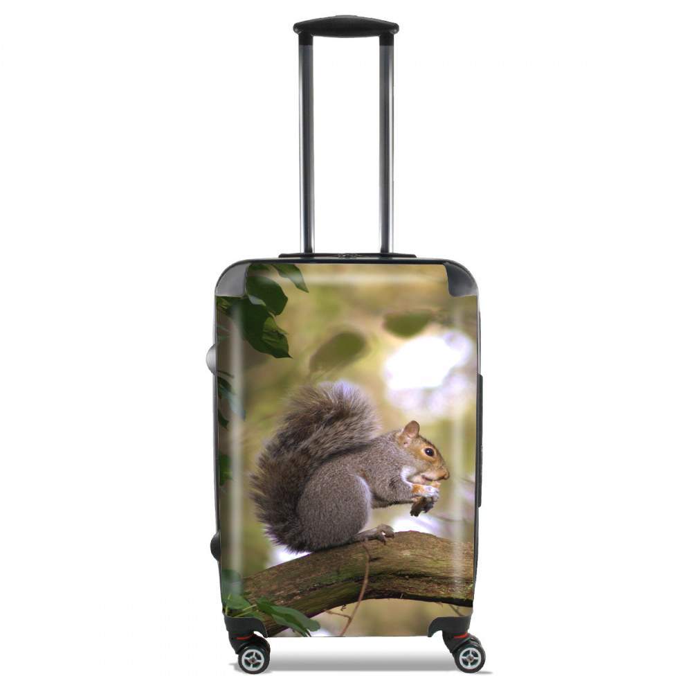 squirrel gentle für Kabinengröße Koffer